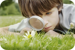 Magnifying Glass